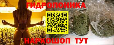 эйфоретик Обь
