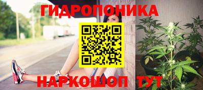 mdpv Обнинск