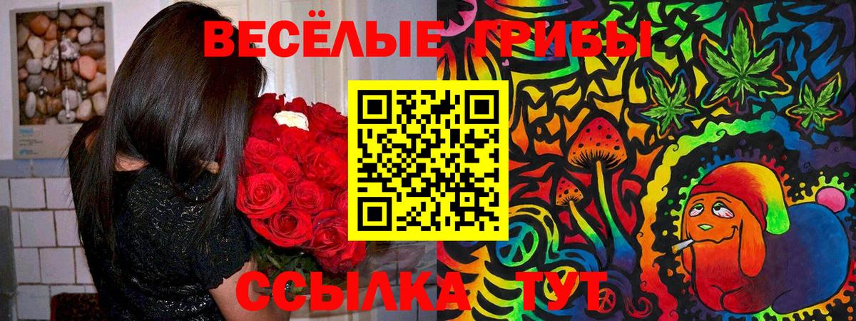 Псилоцибиновые грибы мицелий  Псилоцибиновые грибы Cubensis  Тольятти  Вход с VPN 